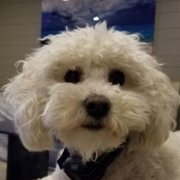 Meet your Posher, Eyal - Picture 1 of 1